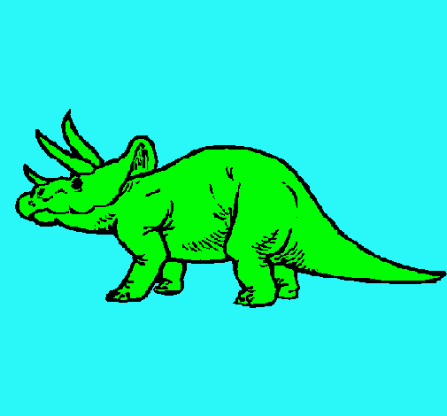 Triceratops