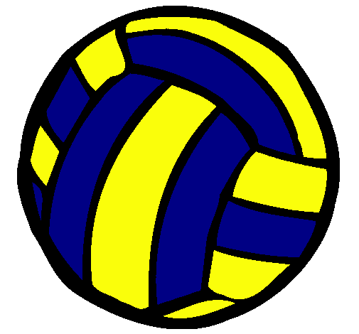 Pelota de voleibol