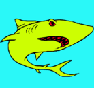 Dibujo Tiburón pintado por A.N.G