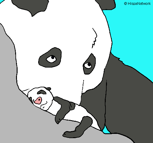 Oso panda con su cria