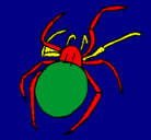 Dibujo Araña venenosa pintado por luisalberto