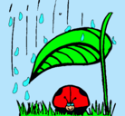 Dibujo Mariquita protegida de la lluvia pintado por lauravalentinaavilezbe