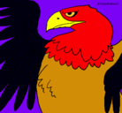 Dibujo Águila Imperial Romana pintado por JAVIER1