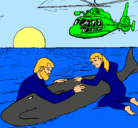 Dibujo Rescate ballena pintado por marina
