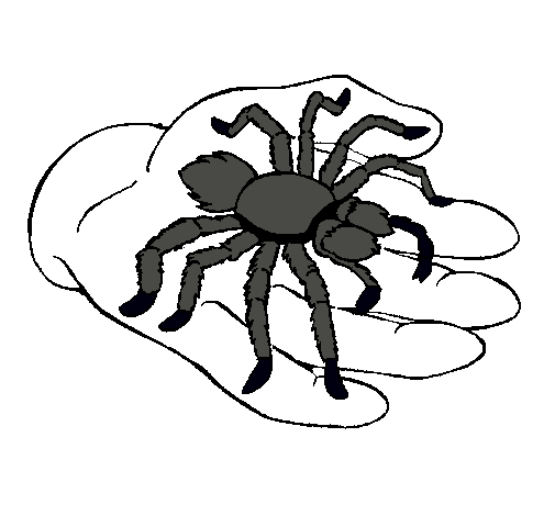 Tarántula