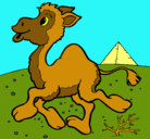 Dibujo Camello pintado por LaUrA