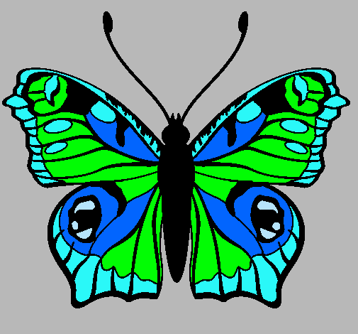 Mariposa 