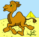 Dibujo Camello pintado por myriam