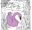 Dibujo Cisnes pintado por DelCisne
