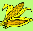 Dibujo Mazorca de maíz pintado por Marga