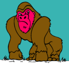 Dibujo Gorila pintado por gretta-zarish