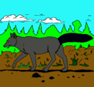 Dibujo Coyote pintado por DIEGO