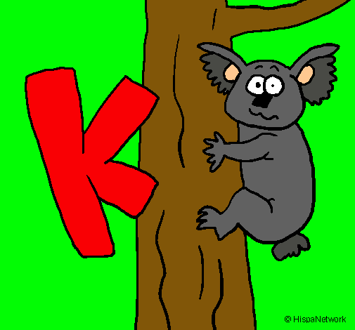 Koala