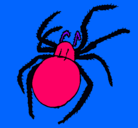 Dibujo Araña venenosa pintado por betty