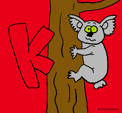 Koala