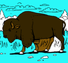 Dibujo Búfalo  pintado por blas