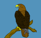 Dibujo Águila en una rama pintado por ali