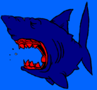 Dibujo Tiburón pintado por cesar