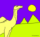 Dibujo Camello pintado por nmalfo