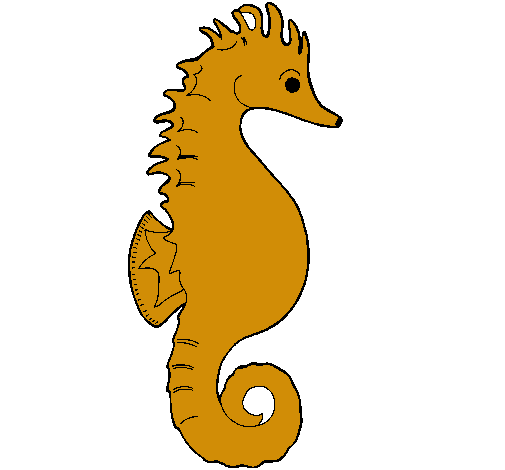 Caballito de mar