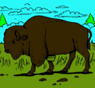 Dibujo Búfalo  pintado por denmis