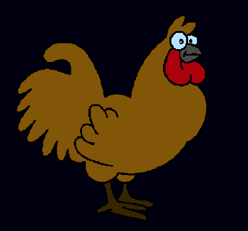 Gallo