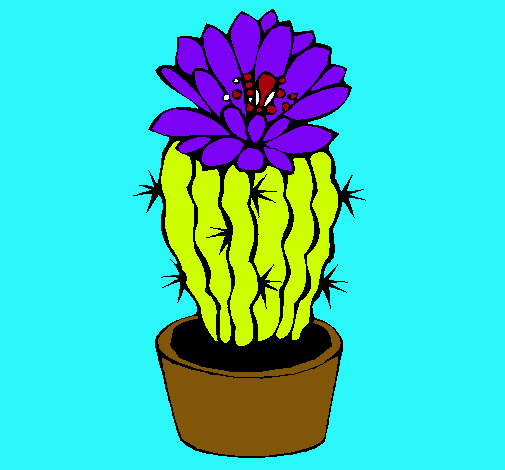 Cactus con flor