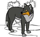 Dibujo Lobo pintado por lobo