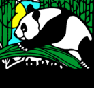 Dibujo Oso panda comiendo pintado por daniel