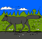 Dibujo Coyote pintado por hadraniel