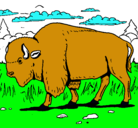 Dibujo Búfalo  pintado por ian