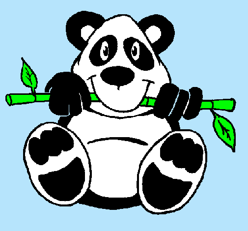 Oso panda