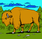 Dibujo Búfalo  pintado por agustina