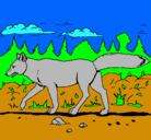 Dibujo Coyote pintado por fernando