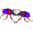 Dibujo Escarabajos pintado por oriol