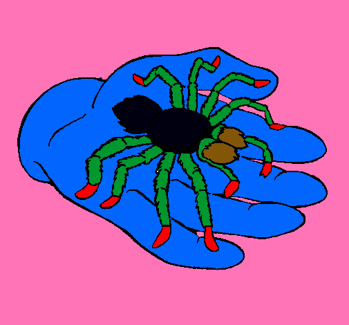 Tarántula