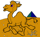 Dibujo Camello pintado por coito