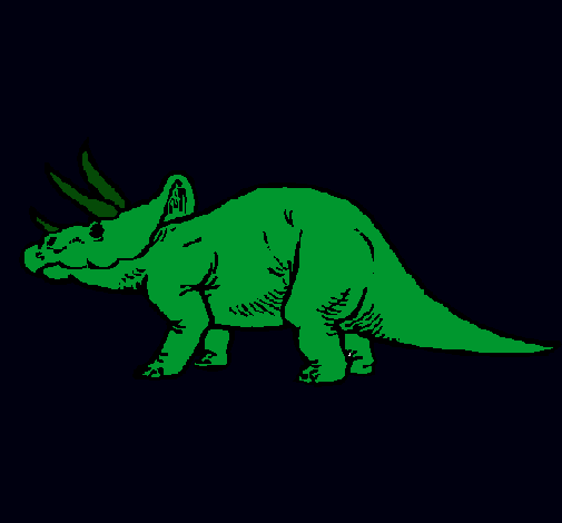 Triceratops