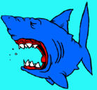 Dibujo Tiburón pintado por andi