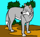 Dibujo Lobo pintado por wolberin