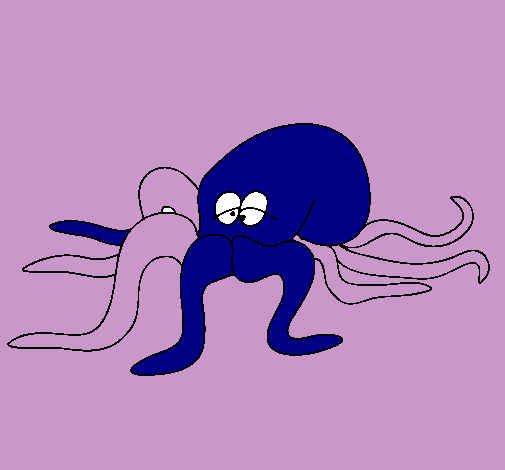 Pulpo