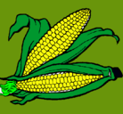 Dibujo Mazorca de maíz pintado por paula