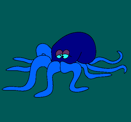 Pulpo