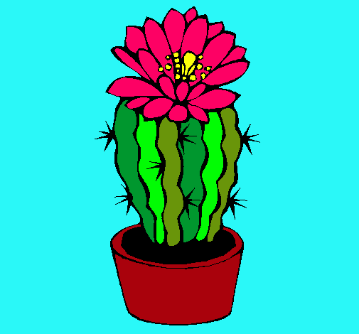 Cactus con flor