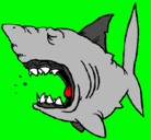 Dibujo Tiburón pintado por lilipop