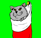 Dibujo Gato dentro de una calcetín pintado por carolina