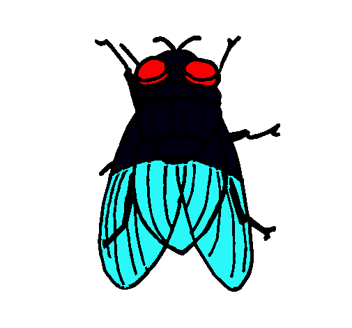 Mosca negra