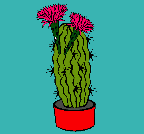 Cactus con flores