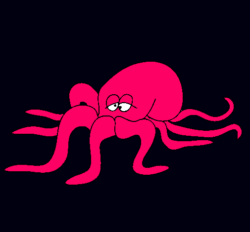 Pulpo