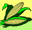 Dibujo Mazorca de maíz pintado por jackson